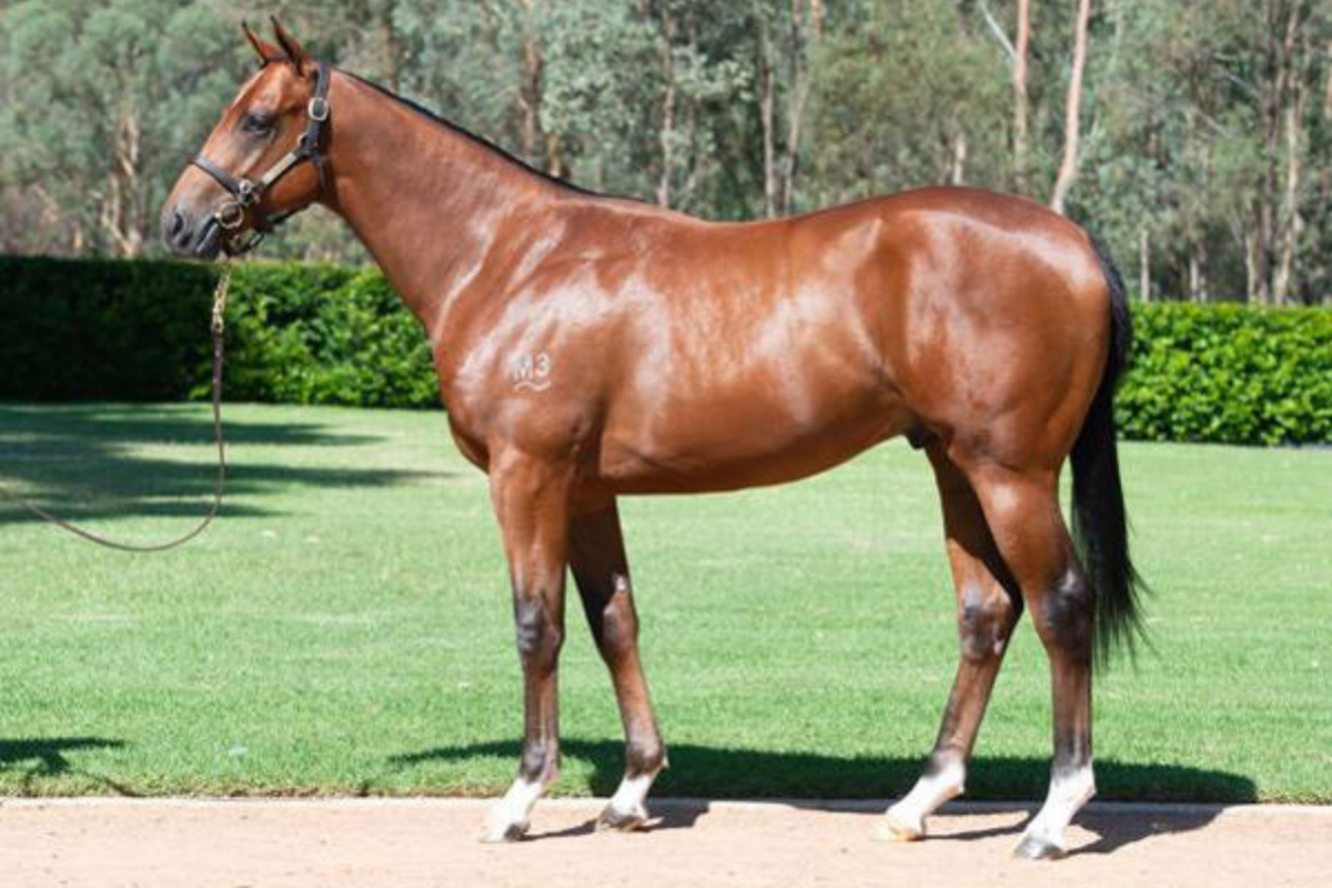 Rejoiced as a yearling