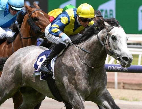 High-quality mares secured to support Kia Ora’s stallions