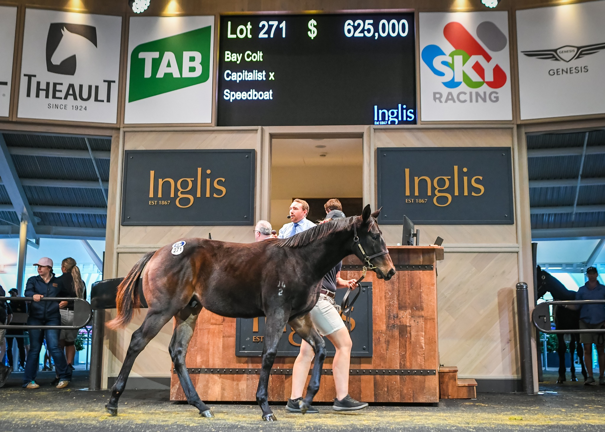 Captivant brother tops Inglis Weanling Sale